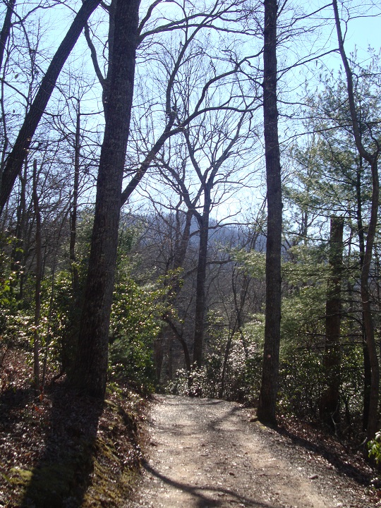 on the trail at arboretum