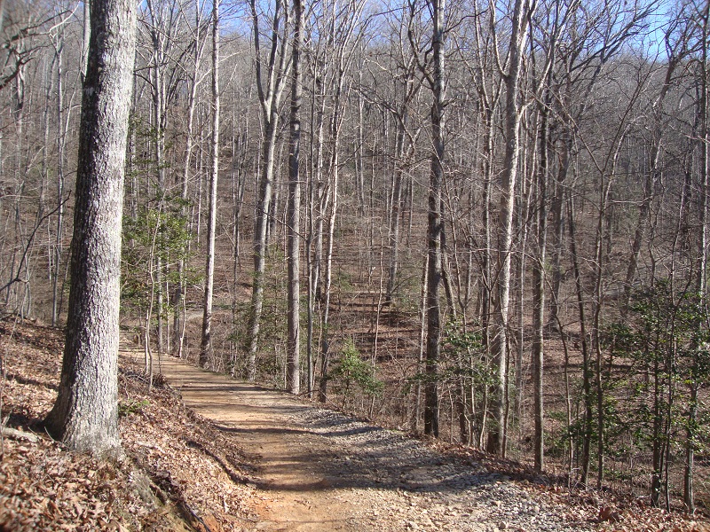 arboretum hiking trail