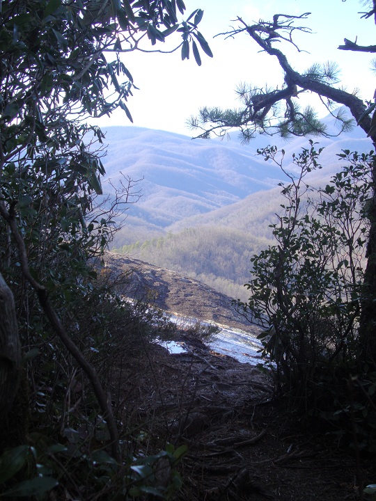 view through the trees