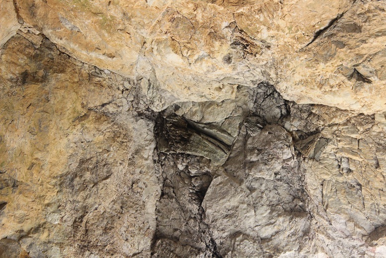 mine cathedral ceiling detail