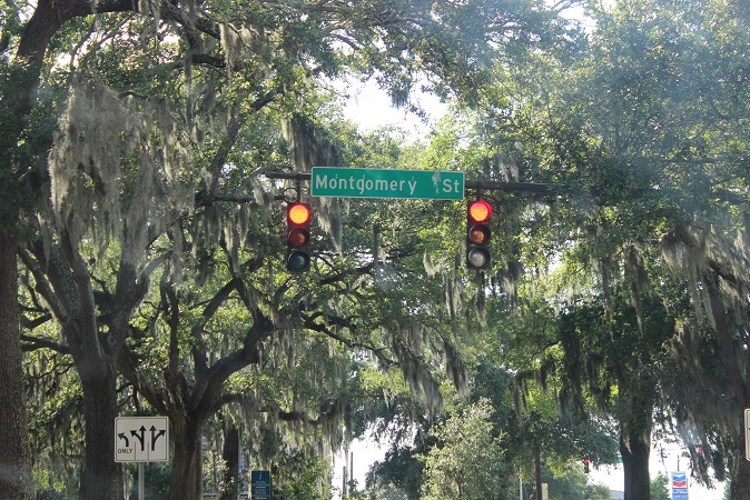 Montgomery St. Savannah