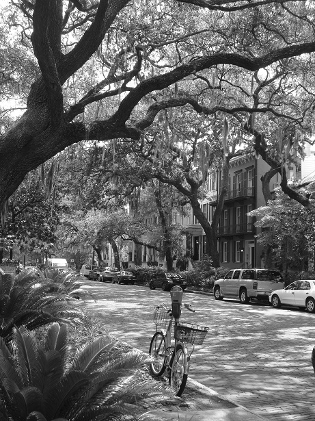 Savannah street scape