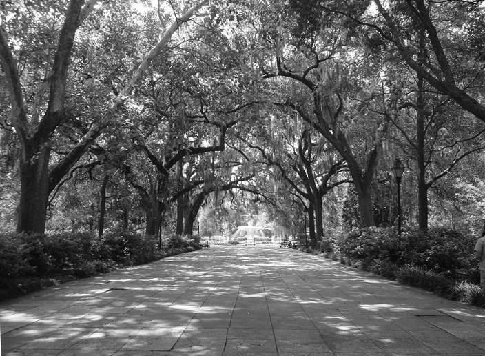 Savannah tree-lined sidwalk