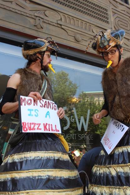 bee costumes March Against Monsanto 2015 Asheville NC