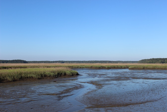 marshy flat lands Georgia