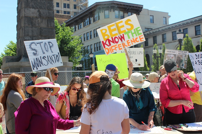 Pack Square Asheville NC March Against Monsanto