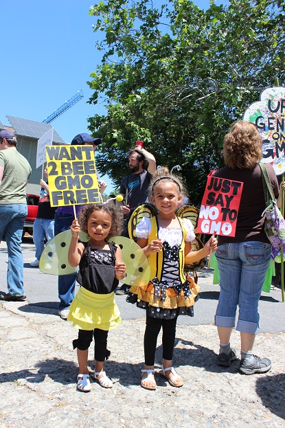 sisters dressed as bees for March Against Monsanto 2015 Asheville NC